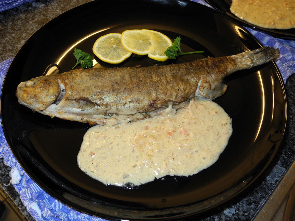 Kochen_21-8_47