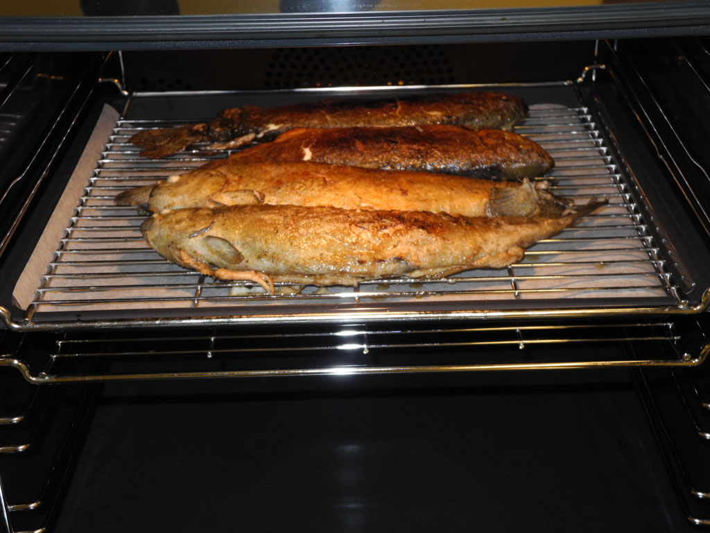 Kochen_21-8_37