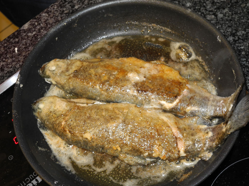 Kochen_21-8_36