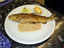 Kochen_21-8_44