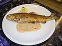 Kochen_21-8_45